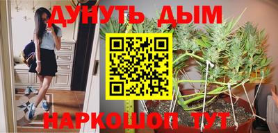 сатива Заводоуковск