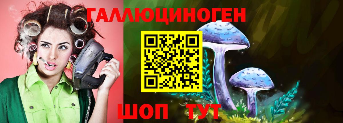 Пушкино  Галлюциногенные грибы MAGIC MUSHROOMS  Вход с VPN 